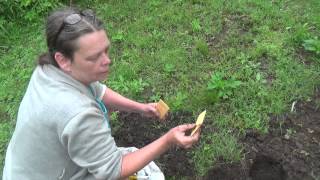 Planting the EFN oil & Quinoa grain seeds