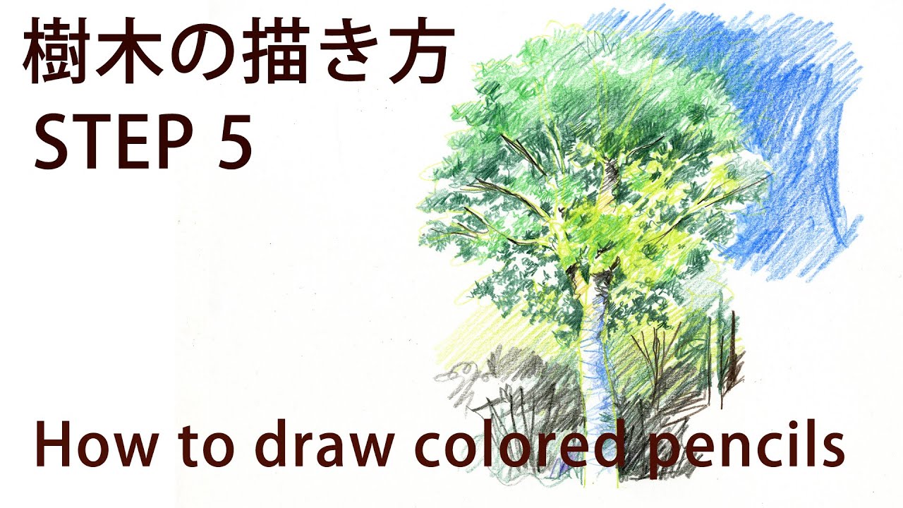 色鉛筆画 実践編 樹木の描き方step 5 シラカンバ How To Coloredpencil Drawing Youtube