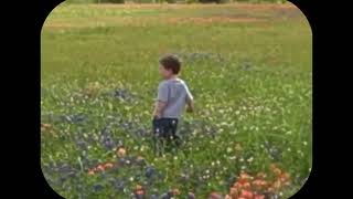 Nemus - Tiny.. screenshot 1