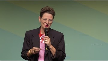 What are the Care Principles?