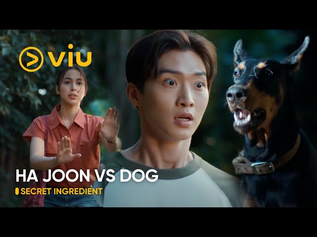 Ha Joon vs Dog | Secret Ingredient EP 2 | Viu Original class=