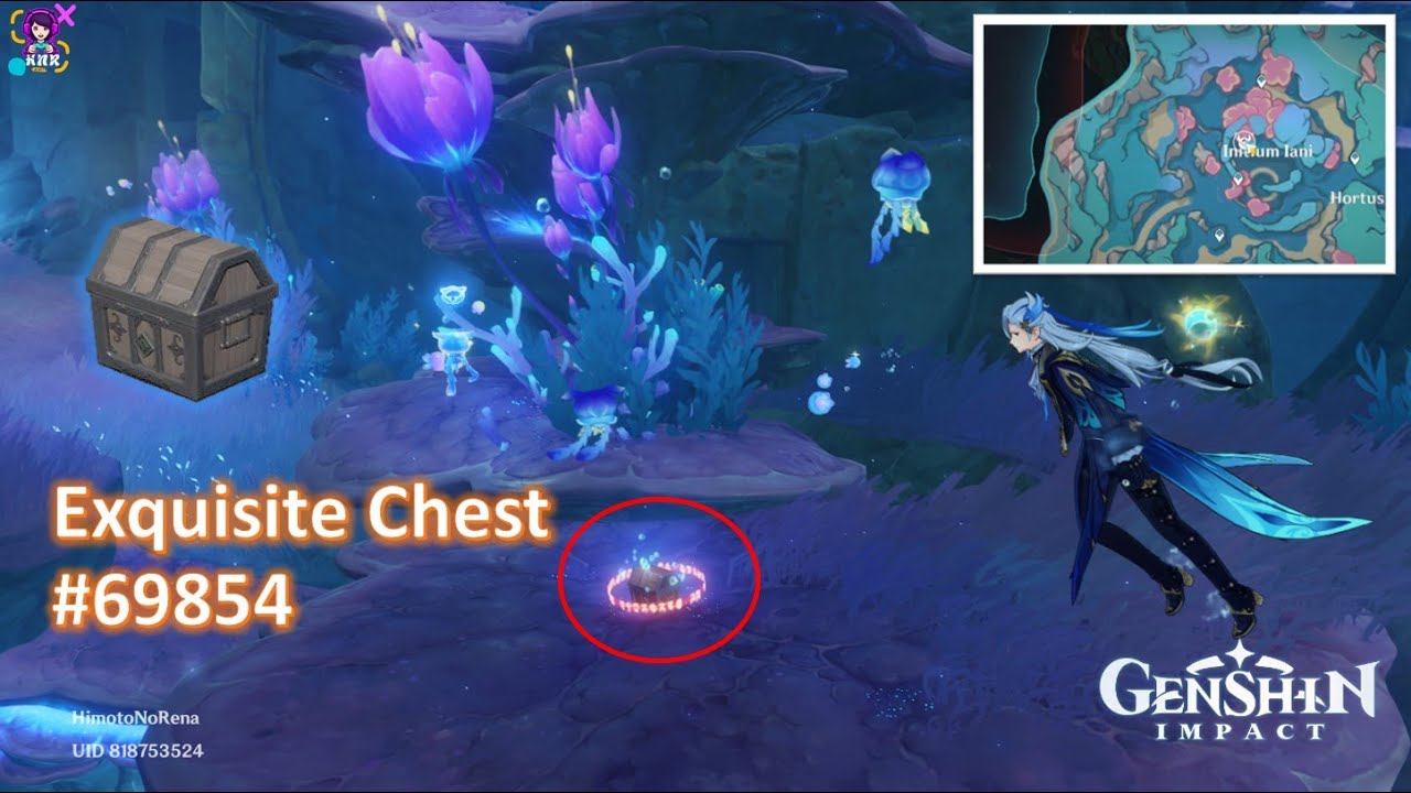 Genshin Impact Exquisite Chest 69854 YouTube