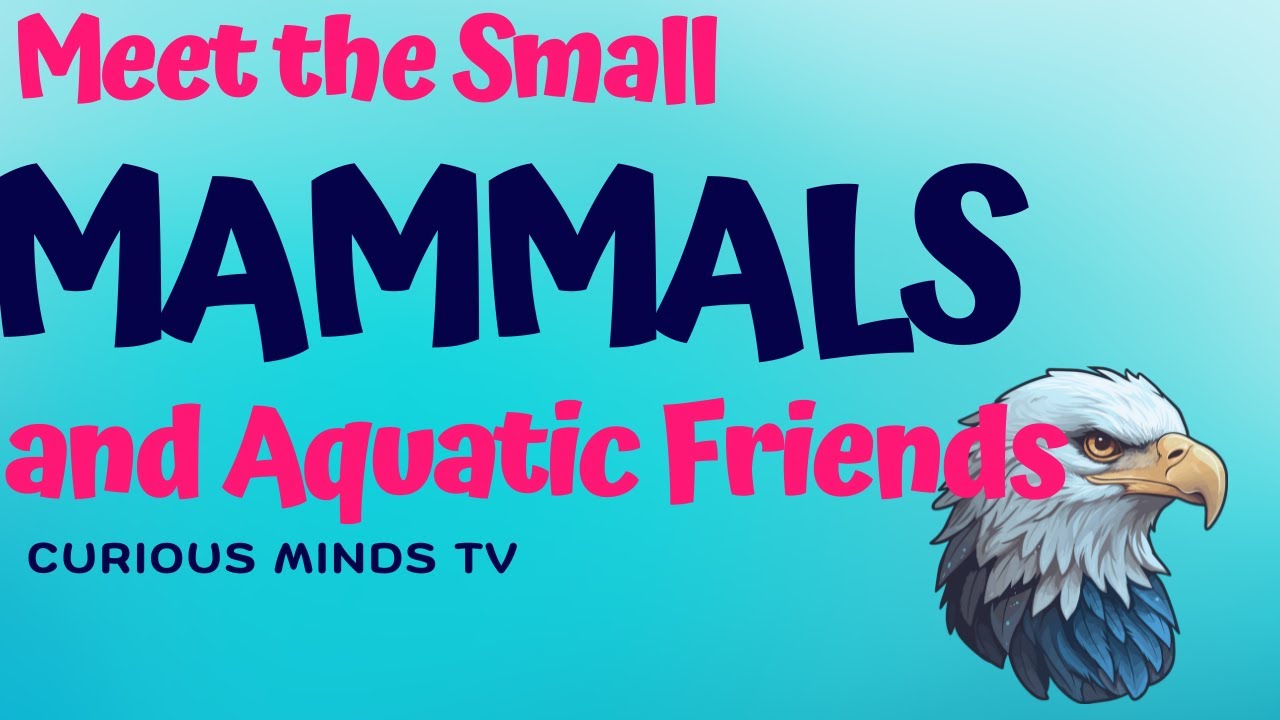 Meet the Small Mammals and Aquatic Friends! 🐿️🐬 | Fun Animal Facts for Kids