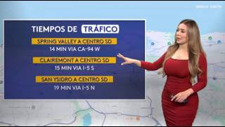 Details Janice Villagran 4/3/26 Update