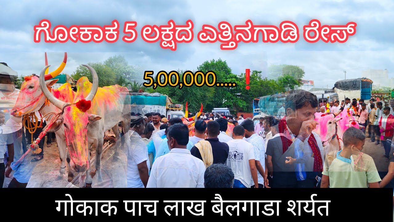 gokaka 5 lakh bailgada sharyat 🔥 ಗೋಕಾಕ 5 ಲಕ್ಷದ ಎತ್ತಿನಗಾಡಿ ರೇಸ್ 🔥 गोकाक 5 लाख  शर्यत#live#trend