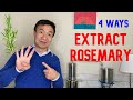 4 Ways to Extract Rosemary at Home Infusion Tincture Tea Distillation, Benefits of Rosemary