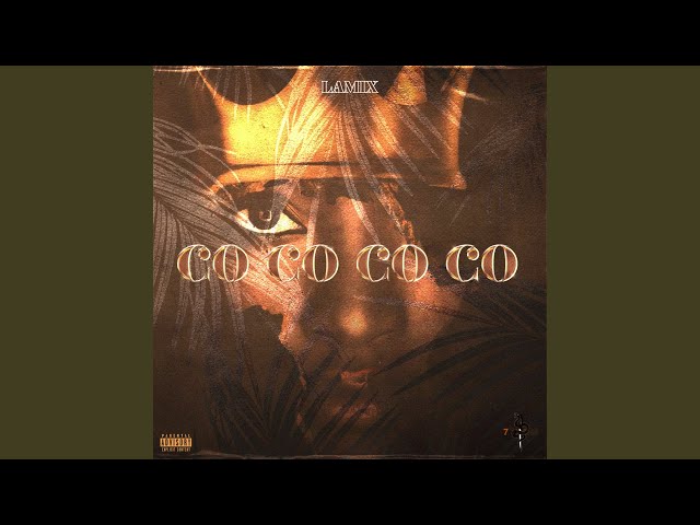 0210-03  cocoさま lapte de cocos CLS NL4.jpg