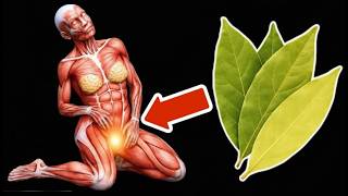 Drink bay leaf tea every day and be amazed at what happens💥(Awesome)🤯