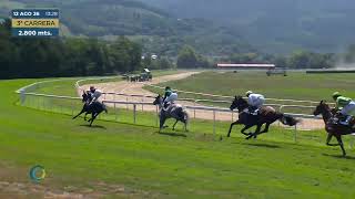 Vidéo de la course PMU ZALDILASTERKETAK.EUS