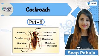 Cockroach | L2 | NEET 2022/23 | Seep Pahuja