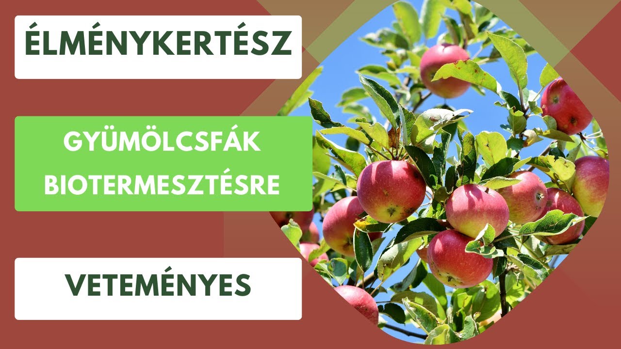 Mitől lesz alkalmas egy gyümölcsfa biotermesztésre?🌳