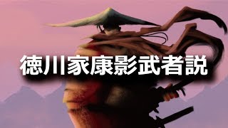 徳川家康の影武者説、その信憑性に迫る！
