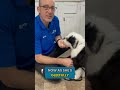 Stop Your Puppy From Pulling Away!