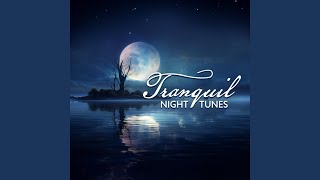 Tranquil Nightfall