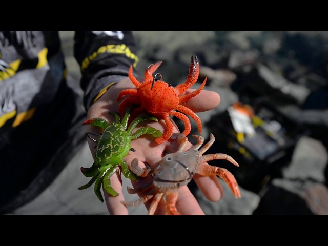 The SMALLEST Crab Lure For Inshore Fishing [Savage Gear Duratech