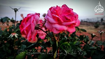 واصبر وما صبرك إلا بالله  تلاوة من سورة النحل الشيخ محمود الحصري