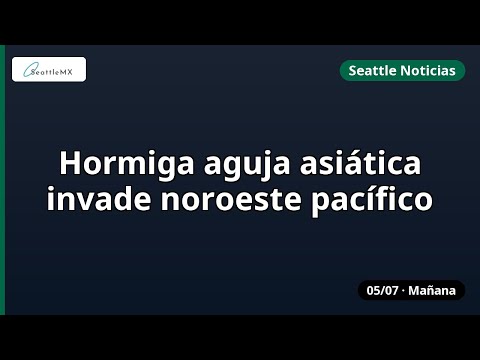 Noticias Seattle en Español | 05/07 · 13 titulares