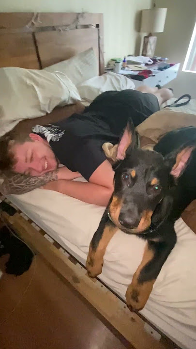 Man Barks to Teach Puppy Speak Command