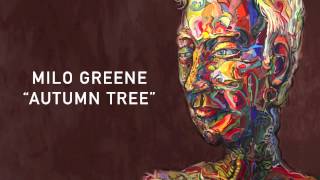 Watch Milo Greene Autumn Tree video