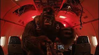 Were Parachuting Out Of This And Freds Not Even Looking Down