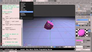 Celebrity TMW Lesson16- Very Basic Python Programming Review Profile