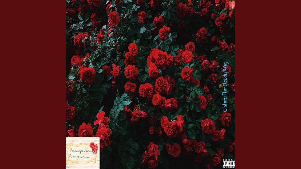 Watch Rose on YouTube Watch Rose on YouTube