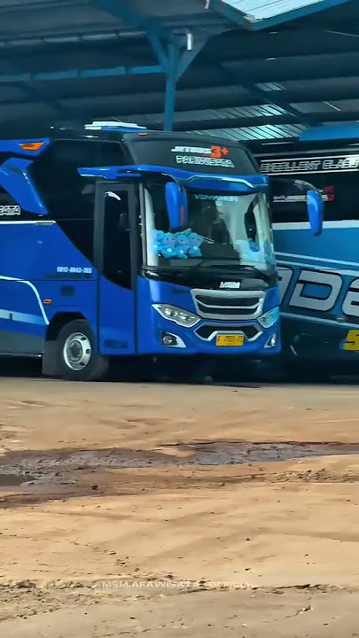 story'WA BUS asyrof fadel ali