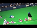 2010.07.14 ドアラを救出するためにチアドラを蹴散らすつば九郎
