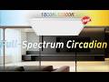 Lighting that follows the rhythm of nature | Circadian Lighting