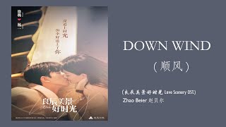 Love Scenery 良辰美景好时光 OST (LYRICS) | Down Wind ( 顺风 )