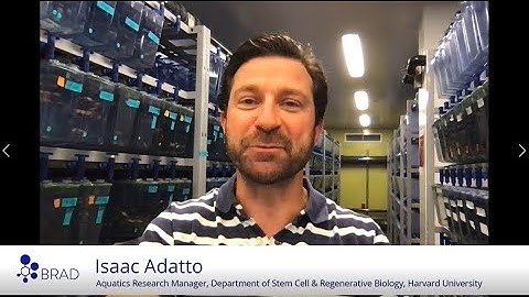 BRAD Ask an Expert: Zebrafish Breeding, Isaac Adatto