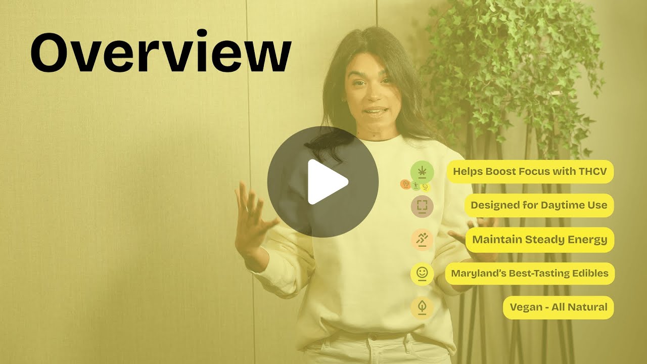 Thrive by Curio Wellness (Best-Self Collection) | Cannabis for Energy, Focus & Mood Support