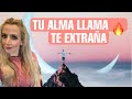 TU LLAMA GEMELA TE EXTRAÑA EN TU AUSENCIA Y SE MIENTE ASÍ MISMO