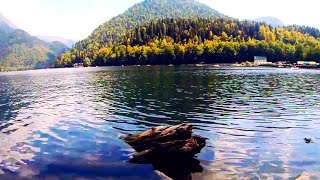 Абхазия. Шикарное Озеро Рица В Горах И Потрясающе Красивая Дорога К Нему 🎵