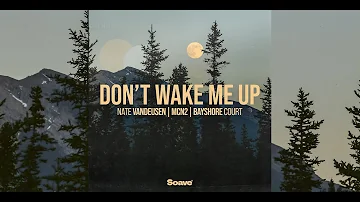 Nate VanDeusen, MCN2, Bayshore Court - Don't Wake Me Up lyric video
