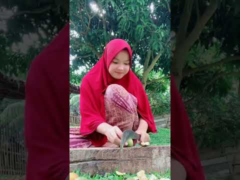 Cewek Jilbab Merah