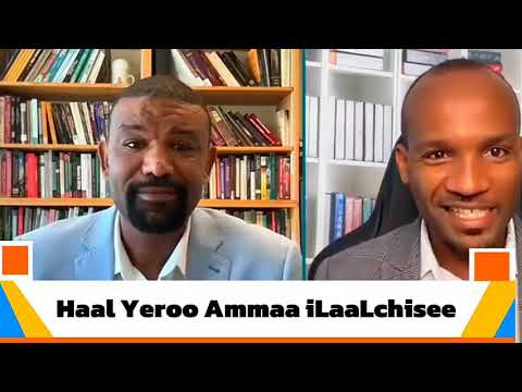 Haala Yeroo Ammaa ILaaLchisee Ibsa Bal Aa