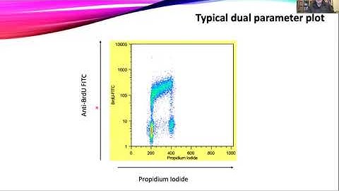 OpenFlow: Cell Proliferation by Flow Cytometry II