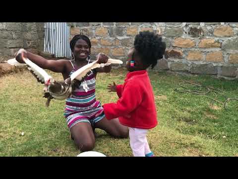 African village girl slaughtering Duck for food