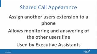 Primus Hosted Phone System-Button Assignment Overview