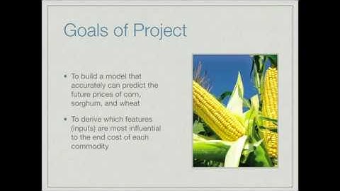Agricultural Commodity Price Model
