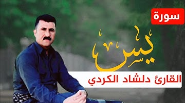 أجمل تلاوة عراقية من سورة يس بصوت القارئ دلشاد الكردي