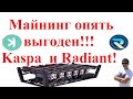 Майнинг опять выгоден! Майним Kaspa (KAS) и Radiant (RXD)! Доходность и настройка!