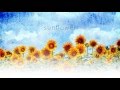 a_hisa - Sunflower