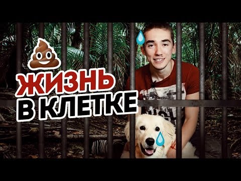 ЗАЧЕМ Я ЗАПЕР СОБАКУ В КЛЕТКЕ? ЗОЛОТИСТЫЙ Ретривер в квартире/ Как приучить ГОЛДЕНА к туалету