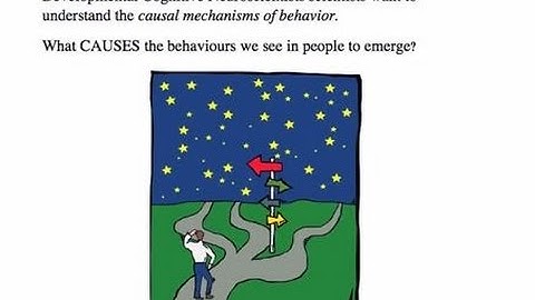 [Psychological Sciences] MSc/MA Development Sciences taster video