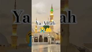 #love #trending #pawarholakhalidhobijatimere #viral #islamicstoriesinurduandhindi #duet #art #song