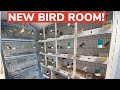 Unveiling the *NEW* Bird Room | + New Norwich Canaries