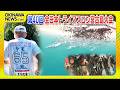 第40回宮古島トライアスロン ～鉄人として帰る家～