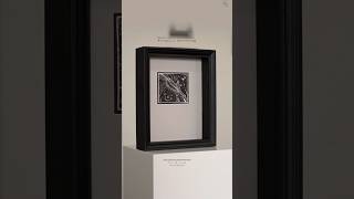 Biological Abstraction - Black and White Scratchboard Art (Framed 23x28 cm)